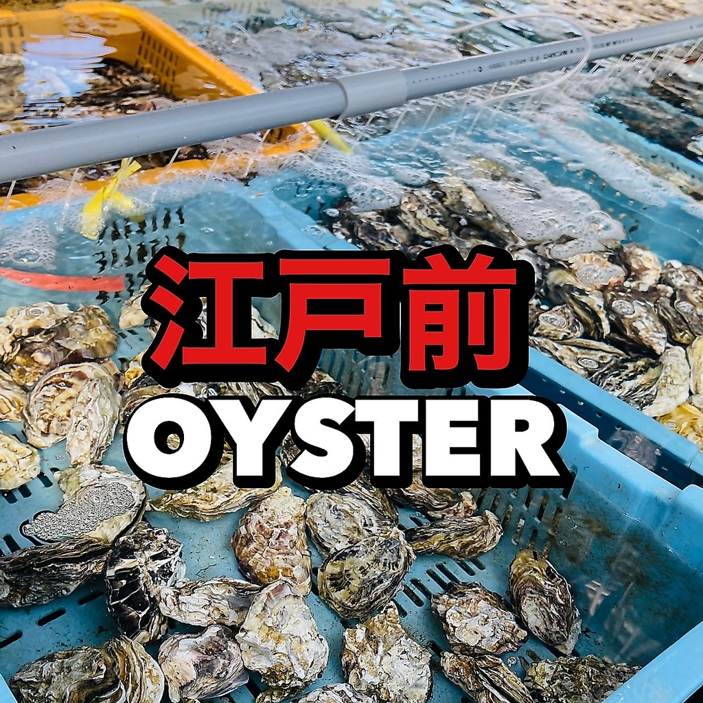 【江戸前オイスター】港から直接仕入れる事によりこれ以上ない鮮度の牡蠣です！