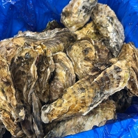 鮮度抜群の生牡蠣を毎日ご提供！