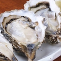 料理メニュー写真 北海道厚岸産 生牡蠣/蒸牡蠣 各1ヶ