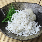 宴会飲み放題無制限　はかた料理専門店 はかた商店　日暮里店