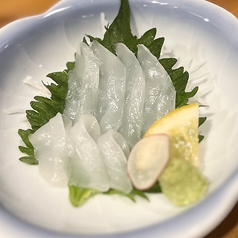 アオリイカ刺身