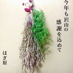 はぎ原の雰囲気2