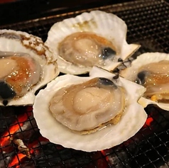 ホタテ貝