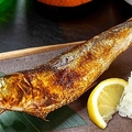 料理メニュー写真&nbsp;名物大トロ鰯