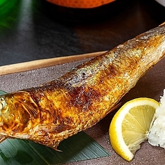名物大トロ鰯