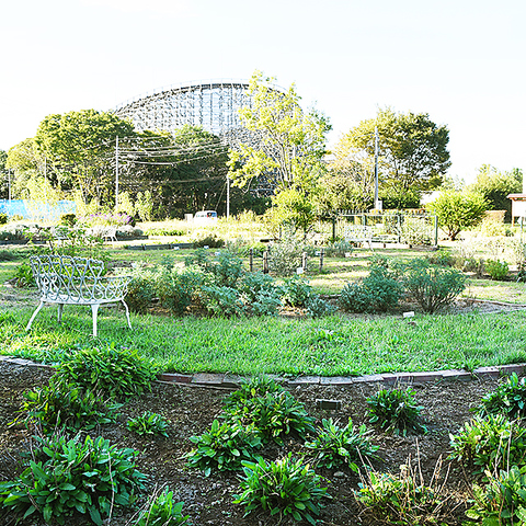 La Griglia ラ グリーリア 東武動物公園店 東武動物公園 イタリアン フレンチ ネット予約可 ホットペッパーグルメ