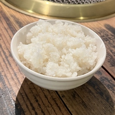 ライス