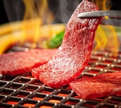 焼肉居酒屋 ミナカミノの特集写真