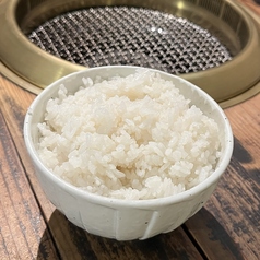 ライス大