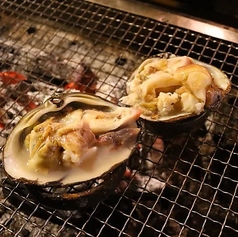 ホッキ貝