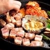 タッカンマリ鍋とサムギョプサル専門のお店 ソウルキッチンのおすすめポイント1