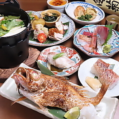 とと桜特集写真1