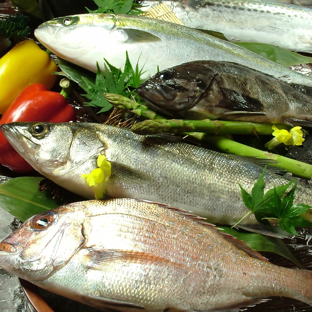 釜石でトップクラスの漁獲量を誇る漁師から毎日ピチピチの「朝獲れ鮮魚」を直接仕入！！