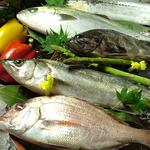 釜石でトップクラスの漁獲量を誇る漁師から毎日ピチピチの「朝獲れ鮮魚」を直接仕入！！