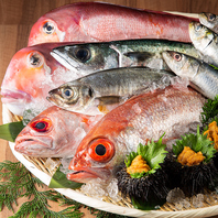 ●魚市場直送認定店！『活サバ・ブリ・鯛』入荷します！