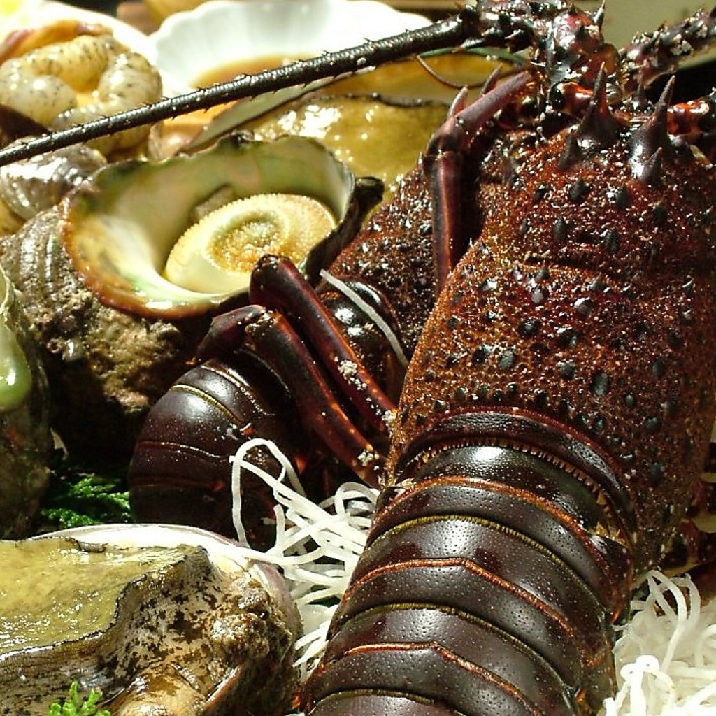 創業以来御好評の国内産天然活き伊勢海老,四季の厳選旬魚,大小7室の個室で残る美味しい時間を是非！