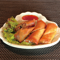 ポーピアトード