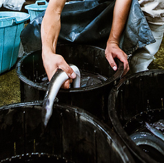 京都祇園　うなぎ四代目菊川　伏見稲荷店の写真2