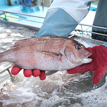 凧 凧 八幡山店のおすすめ料理1