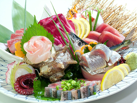 �� �͂��� Hajime ���R�c�X