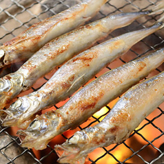 炭火卓上七輪焼き　ししゃも3本
