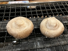 しいたけ焼き