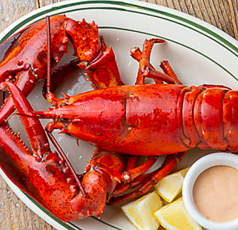 SALTY Oyster House ソルティーオイスターハウス 新小岩のコース写真