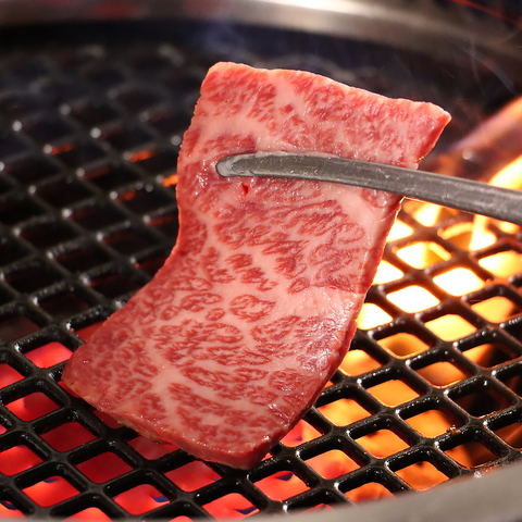 肉の仕入れ・質をこだわりぬいている為、鮮度のよい肉汁溢れるお肉をお愉しみ頂けます