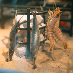 難波/なんば/心斎橋/アメ村/焼き鳥/焼鳥/原資焼き/居酒屋/ササヤ/SASAYA/飲み放題