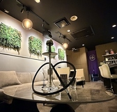 eN エン Shisha Lounge in Akasakaの雰囲気2