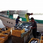 長井港で毎日新鮮な魚を水揚げしてます