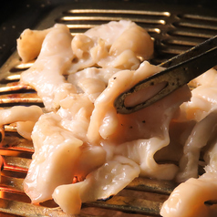 新鮮なホルモンをご堪能あれ◎