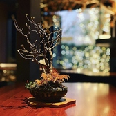 毎週季節の花を活けています。西中洲で四季を感じながら、女子会やデート、接待、記念日など、特別な日の1席にもご利用ください。訪れるたびに新しい発見と感動がある、心躍るお店です。