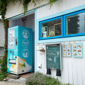 cafe wave snow カフェ ウェイブスノウの雰囲気3