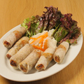 料理メニュー写真&nbsp;揚げ春巻き