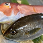 鮮度抜群！新鮮なお魚をその場で調理◎店内の水槽に泳ぐお魚をその場で調理し、ご提供しております◎