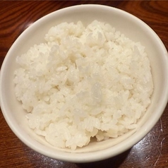 【県産米使用】肉専用バウンド飯(中)