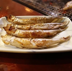 ししゃも (オスメス各2尾)