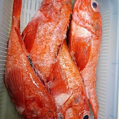 こだわりの特上寿司の数々に盛り上がること間違いなし！