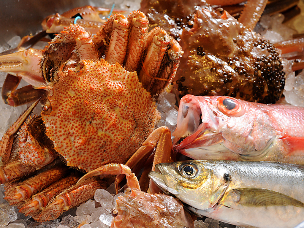 毎日近江町市場から新鮮なお魚を数多く仕入れています！