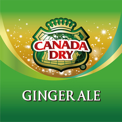 カナダドライ　ジンジャーエール