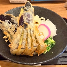 みぞれ茄子ぶっかけうどん