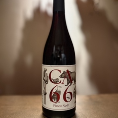 CA66 ピノノワール（オーストリア）
