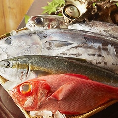 魚ます　二子玉川店の写真2