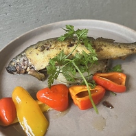 毎朝仕入れる全国各地の鮮魚が自慢！