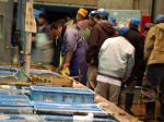 【県南の漁港】…市場を経由せず毎朝新鮮な魚介類が直送で届く