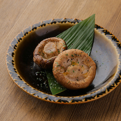 肉厚椎茸