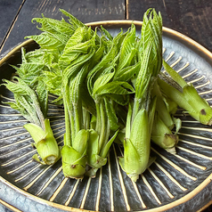 こしあぶら醤油漬け