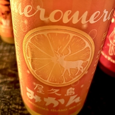 屋久島たんかん梅酒