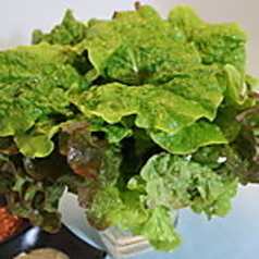 巻野菜
